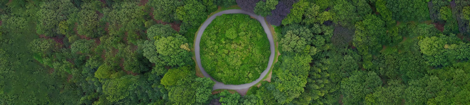 Waarom recycling niet écht circulair is