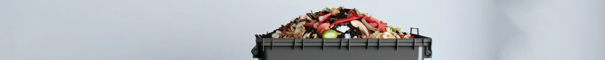 Organic waste: Practical tips and solutions