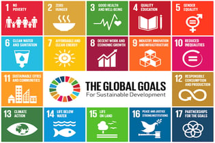 Wat is SDG 12?