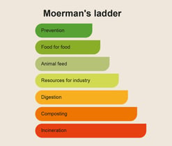 What is Moerman's Ladder?