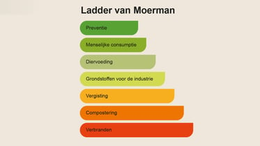 Wat is de Ladder van Moerman?