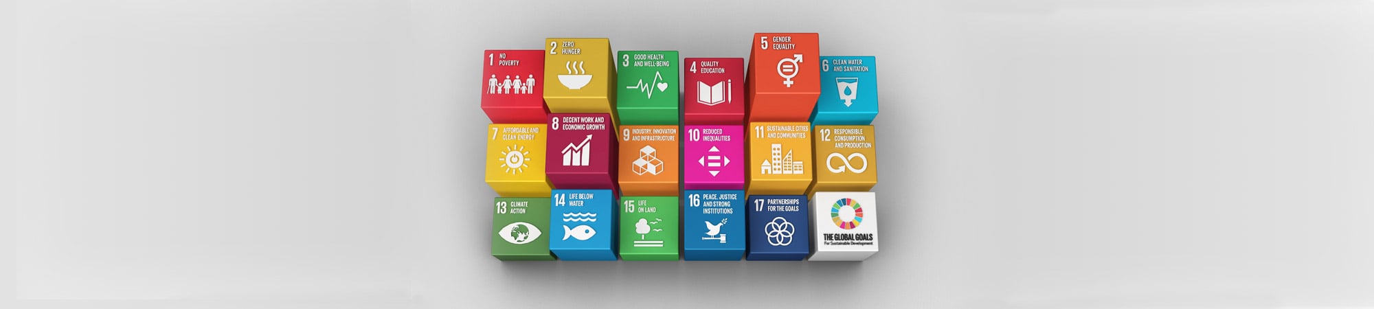 Sustainable Development Goals als wegwijzer voor circulaire ambities