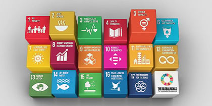 What is SDG 12?